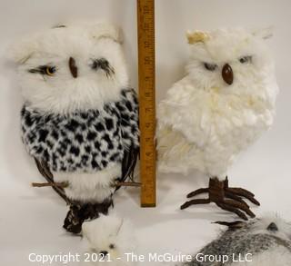 Four (4) Decorative Owls with Feathers.  They're a "Hoot"