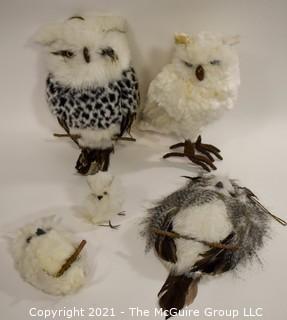 Four (4) Decorative Owls with Feathers.  They're a "Hoot"