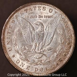 1896 Morgan Dollar