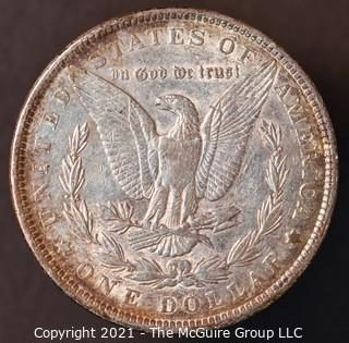 1891 Morgan Dollar