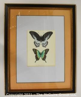 Framed Underglass Watercolor of Butterflies.  Measures approximately 24" x 19".