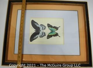 Framed Underglass Watercolor of Butterflies.  Measures approximately 24" x 19".