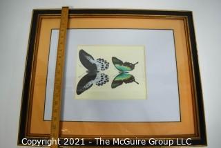 Framed Underglass Watercolor of Butterflies.  Measures approximately 24" x 19".