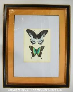 Framed Underglass Watercolor of Butterflies.  Measures approximately 24" x 19".