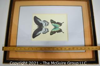 Framed Underglass Watercolor of Butterflies.  Measures approximately 24" x 19".