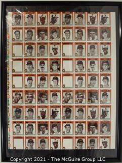 1981 Baltimore Orioles Organization - uncut poster 