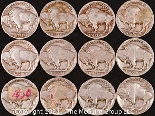 Numismatic:  (12) Buffalo Nickels (1934>1937)