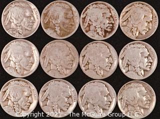 Numismatic:  (12) Buffalo Nickels (1934>1937)