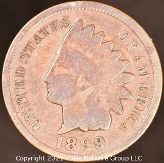 Numismatic:  Indian Head Cent: 1899