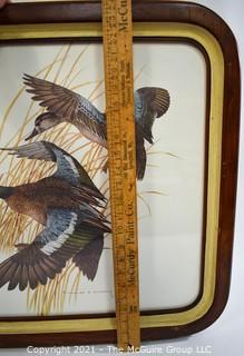 Vintage Charles E. Murphy Mallard or Duck Print, Framed Under Glass .  Measures 22" Square.