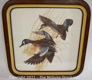 Vintage Charles E. Murphy Mallard or Duck Print, Framed Under Glass .  Measures 22" Square.