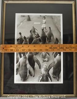 Framed Under Glass Black & White Photograph of Penquins Marching Through the Streets.  Measures 17" x 13".