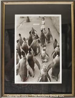 Framed Under Glass Black & White Photograph of Penquins Marching Through the Streets.  Measures 17" x 13".