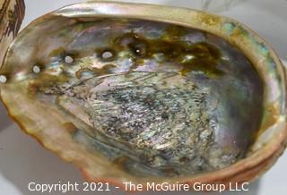 Group of Vintage Cigar Boxes, Abalone Shell and Polished Slice of Petrified Wood Fossil