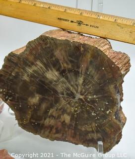 Group of Vintage Cigar Boxes, Abalone Shell and Polished Slice of Petrified Wood Fossil