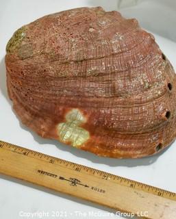 Group of Vintage Cigar Boxes, Abalone Shell and Polished Slice of Petrified Wood Fossil