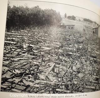 1907 Antique Souvenir Picture Book of Santa Barbara"The Gem City of the Western Sea".