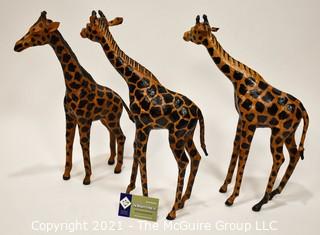 Group of Three Carved Wooden Giraffes. 