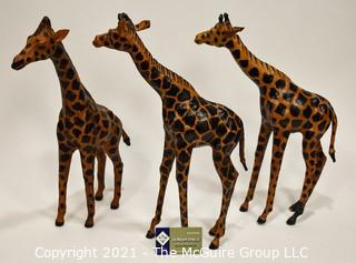 Group of Three Carved Wooden Giraffes. 