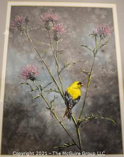 Framed Under Glass Watercolor of Summer Plummage (Goldfinch & Thistle) by Oklahoma Artist Judy M Samter. 15" x 19"