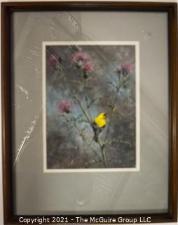 Framed Under Glass Watercolor of Summer Plummage (Goldfinch & Thistle) by Oklahoma Artist Judy M Samter. 15" x 19"