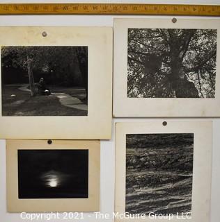 Four mounted B & W Natural World Photos