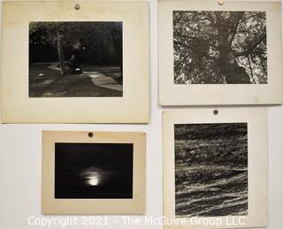 Four mounted B & W Natural World Photos