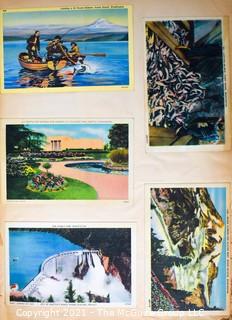 (19) Photo Postcards and (83) Vintage Commercial Postcards; mounted on scrapbook pages