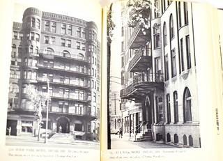 Books: Architecture: "The Chicago School of Architecture" and "Architectural Follies in America"