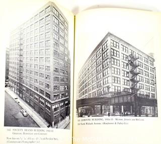 Books: Architecture: "The Chicago School of Architecture" and "Architectural Follies in America"