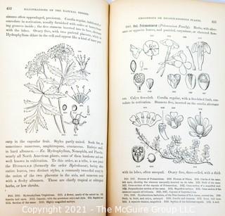 Introduction To Structural And Systemic Botany, Illustrated With Over Thirteen Hundred Woodcuts By Gray, Asa. c 1862 