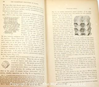 Introduction To Structural And Systemic Botany, Illustrated With Over Thirteen Hundred Woodcuts By Gray, Asa. c 1862 