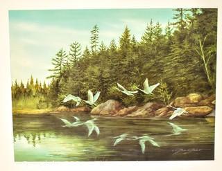 Unframed Signed and Numbered Geese Over Pond.  Measures 21" x 25"