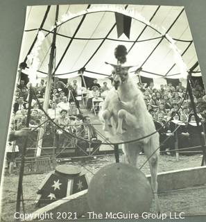 Vintage Large Format Black & White Photo of Goat Performing at the Circus. by Art Rickerby, Photographer. Measures 10" x 14".