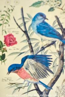 Pair of Framed Under Glass Botanical & Bird Prints by Arthur Singer.  Each measure 15 x 18"