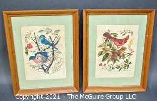 Pair of Framed Under Glass Botanical & Bird Prints by Arthur Singer.  Each measure 15 x 18"