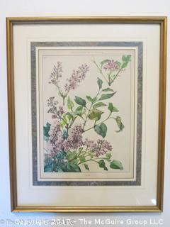 "Lilacs"; framed print; 17 1/2 x 22"