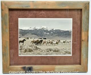 Framed Under Glass Photo of Wild Horses in Montana by R. Phisher.  Measures 13" x 16".