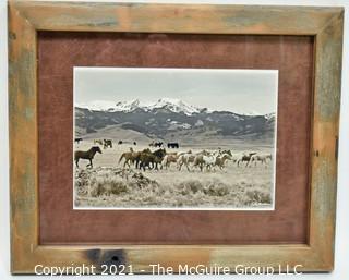 Framed Under Glass Photo of Wild Horses in Montana by R. Phisher.  Measures 13" x 16".