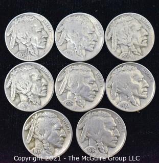 (8) Indian Head Nickel coins