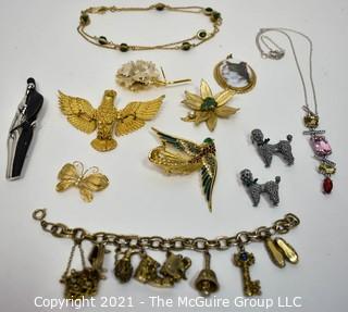 Group of Vintage Necklaces and Brooches.