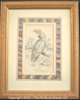 Three (3) Framed Under Glass Hand Colored Ornithology Engravings From The Naturalist Library By William Lizars.  Each 10” X 12"