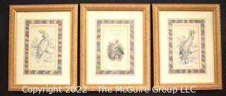 Three (3) Framed Under Glass Hand Colored Ornithology Engravings From The Naturalist Library By William Lizars.  Each 10” X 12"