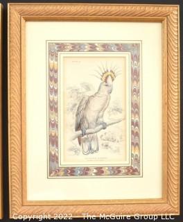 Three (3) Framed Under Glass Hand Colored Ornithology Engravings From The Naturalist Library By William Lizars.  Each 10” X 12"