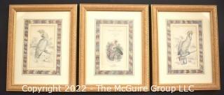 Three (3) Framed Under Glass Hand Colored Ornithology Engravings From The Naturalist Library By William Lizars.  Each 10” X 12"