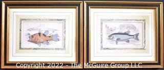 Two (2) Vintage Framed Under Glass Hand Colored Engravings of Fish.