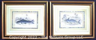 Two (2) Vintage Framed Under Glass Hand Colored Engravings of Fish.