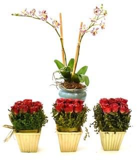 Group of Decorative Faux Flowers in Planters. 