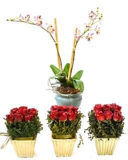 Group of Decorative Faux Flowers in Planters. 