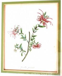 Seven (7) Framed Under Glass Hand Colored Botanical Flower Lithographs. Each measure 16" X 18".